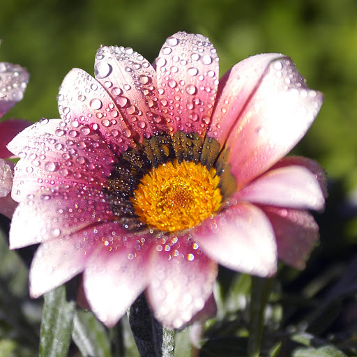 Hd-172347-ascw172347