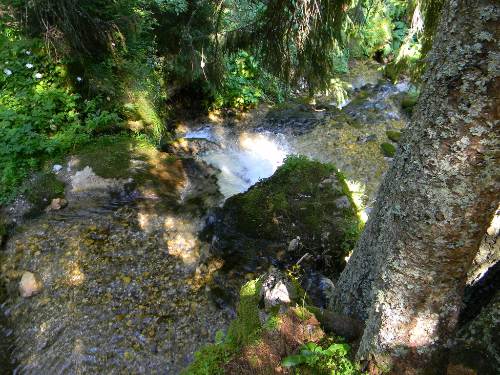 [DSCN15603.jpg]