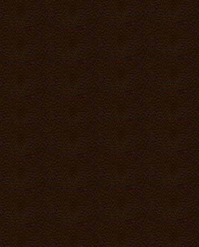 [Dark-Brown-Leather-Swatch%255B12%255D.jpg]