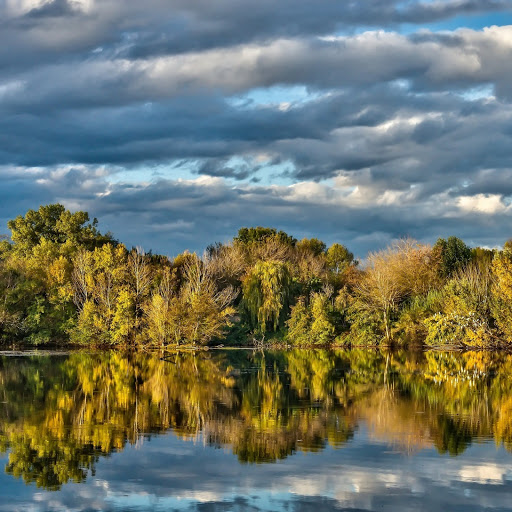 Hd-141163-ascw141163