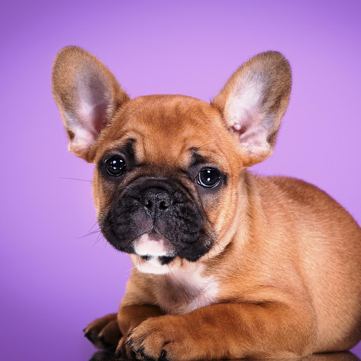 Hd-147579-ascw147579