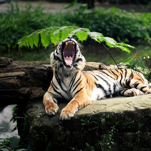 Hd-134708-ascw134708