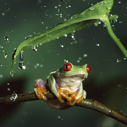 Hd-180633-ascw180633