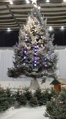 Green (Living) Review: Largest Indoor Christmas Tree in the UK features