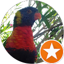 Image Google de Ziggy The Zig