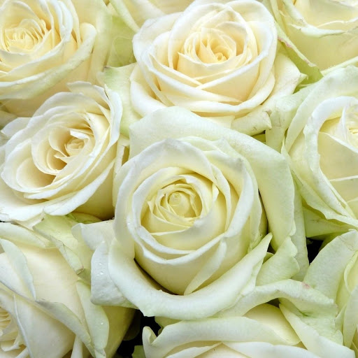 Hd-149246-ascw149246