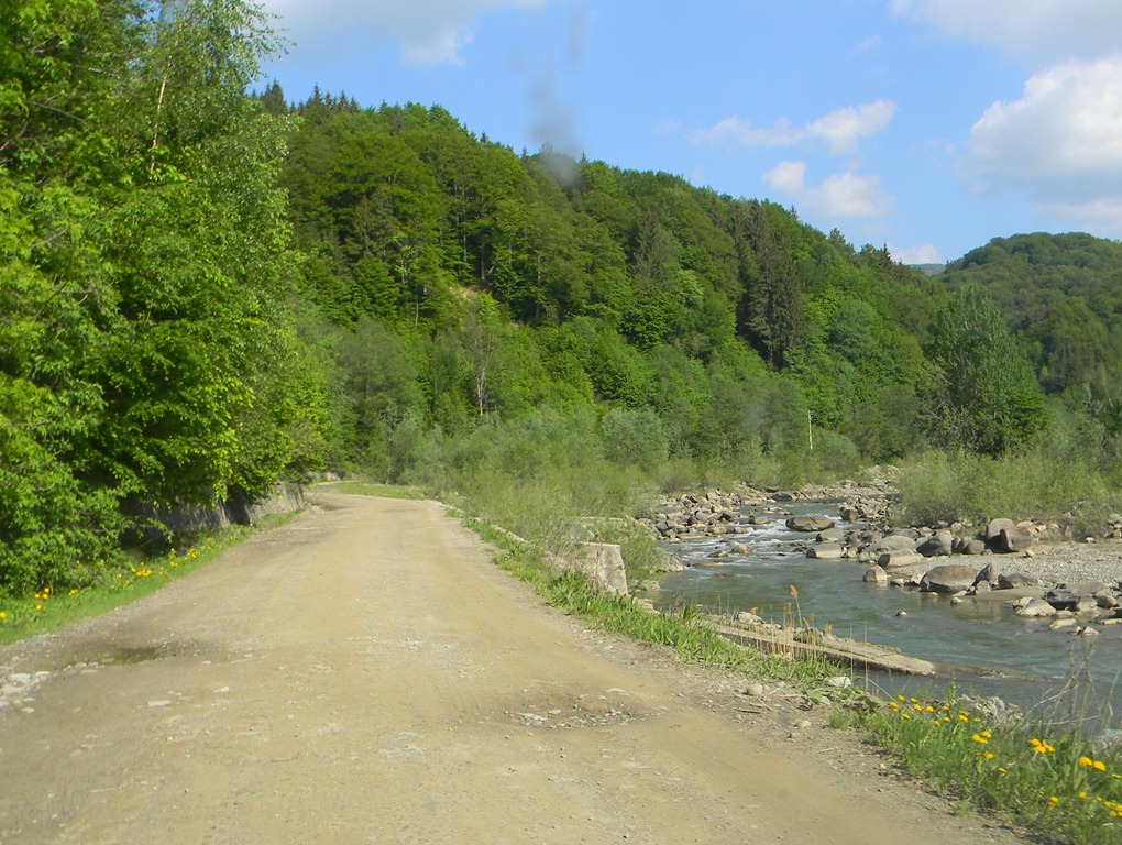 [DSCN02264.jpg]