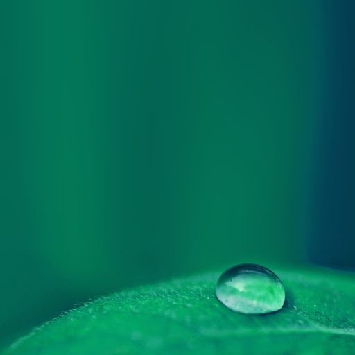 Hd-150336-ascw150336