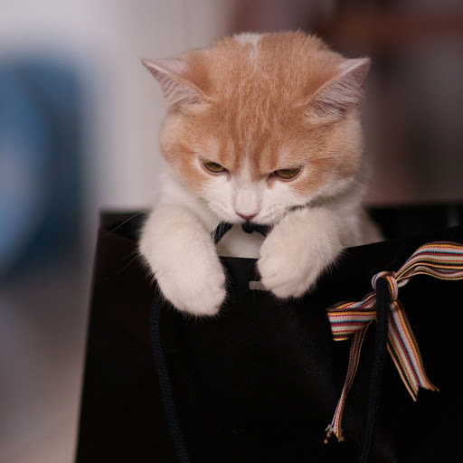 Hd-180643-ascw180643