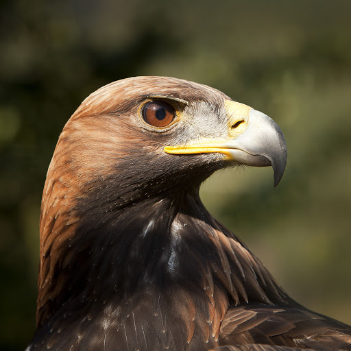 Hd-141026-ascw141026