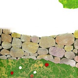 A lo largo del prado donde las vacas pastaban y los caballos trotaban había un viejo muro de piedra
