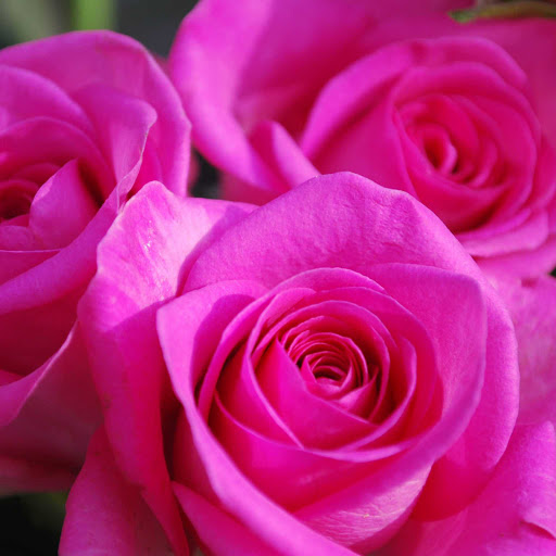 Hd-174105-ascw174105