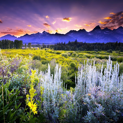 Hd-142624-ascw142624