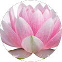 Heidi Rudibaugh profile picture