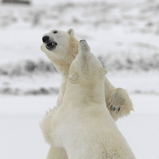 Hd-163671-ascw163671