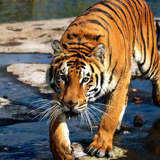 Hd-139550-ascw139550