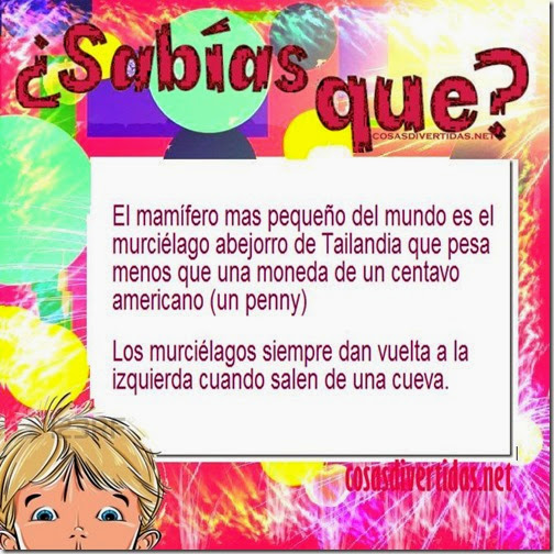 curiosidades cosasdivertidas net 3 curiosidades cosasdivertidas net 3
