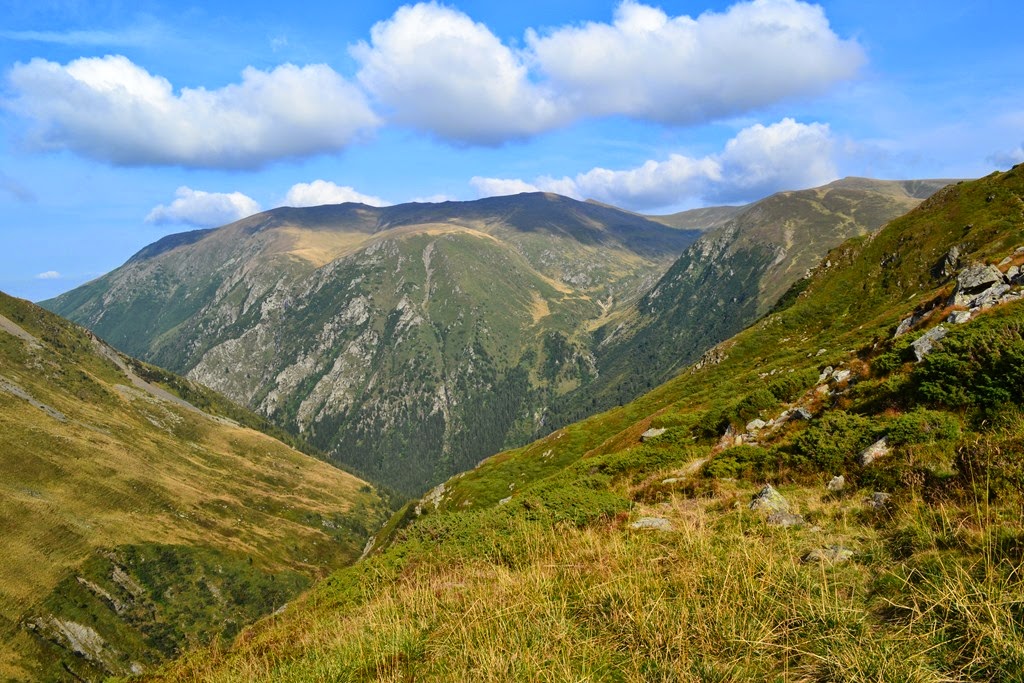 [DSC_91823.jpg]