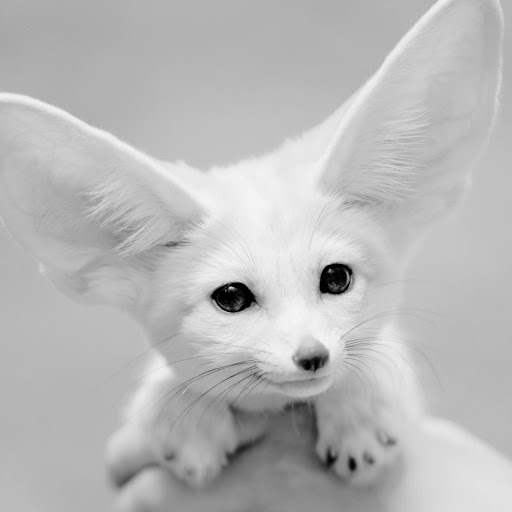 Hd-140541-ascw140541