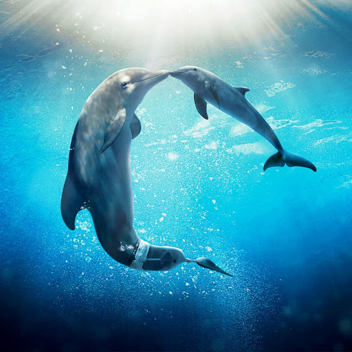 Hd-176044-ascw176044