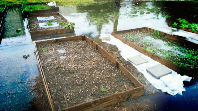 One of the advantages of raised garden beds is drainage