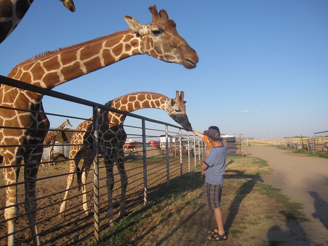 [IMG_8559%255B2%255D.jpg]