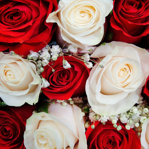 Hd-165853-ascw165853