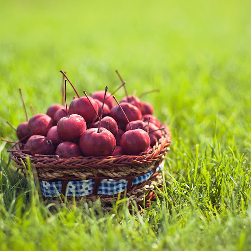 Hd-145236-ascw145236