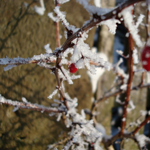 Hd-164616-ascw164616