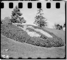 _MG_0617-Editar _MG_0617-Editar