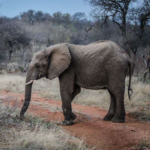 Hd-165527-ascw165527