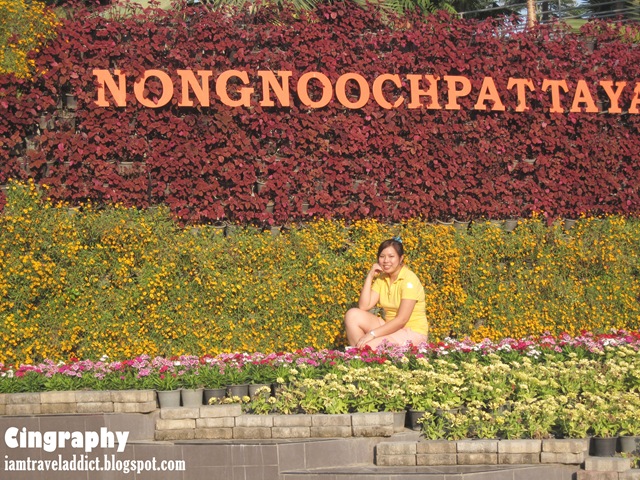 [PattayaIMG_0846-20100215%255B2%255D.jpg.webp]