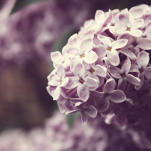 Hd-146591-ascw146591