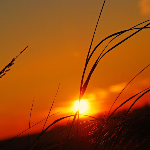 Hd-133563-ascw133563