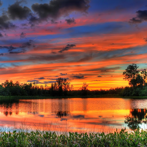 Hd-141985-ascw141985