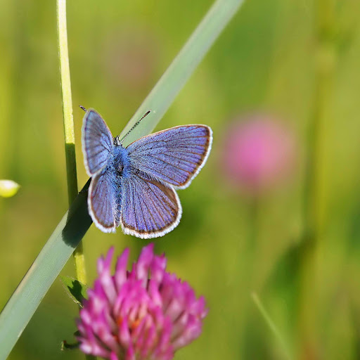 Hd-166902-ascw166902