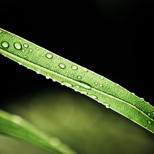 Hd-173923-ascw173923