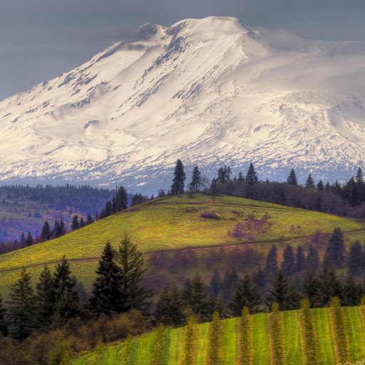 Hd-131853-ascw131853