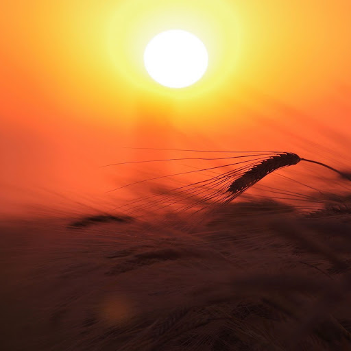 Hd-136524-ascw136524