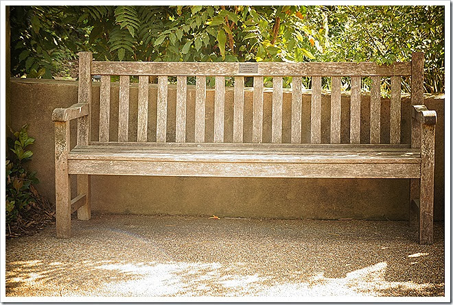 benches-public-domain-pictures-1 (403)