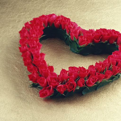 Hd-145021-ascw145021