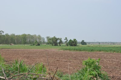 DSC_0117.JPG
