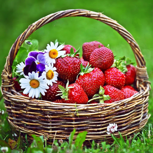 Hd-146298-ascw146298