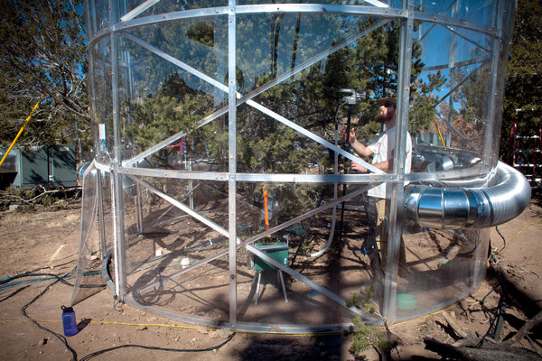 TREE LAB: An outdoor experiment in New Mexico, where 63 pinyon and juniper trees are being monitored intensely. Mark Holm for The New York Times
