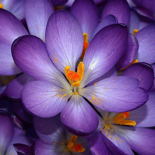 Hd-142275-ascw142275