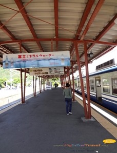 Fujikyu Railway 03