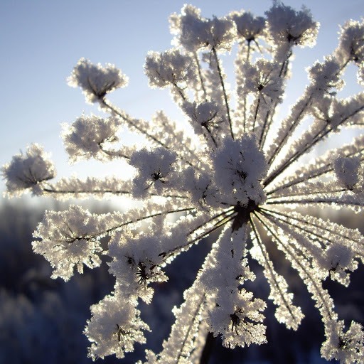 Hd-131638-ascw131638