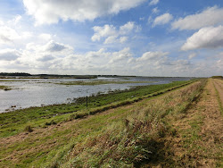 Skjern Au _ Oktober 2012 - 002