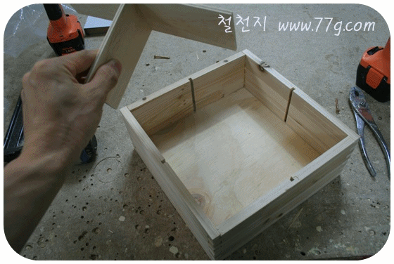 [3.gif]