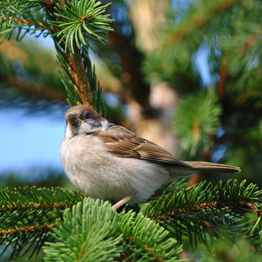 Hd-181284-ascw181284